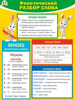 Русский язык. Фонетический разбор слова. 2-4 классы