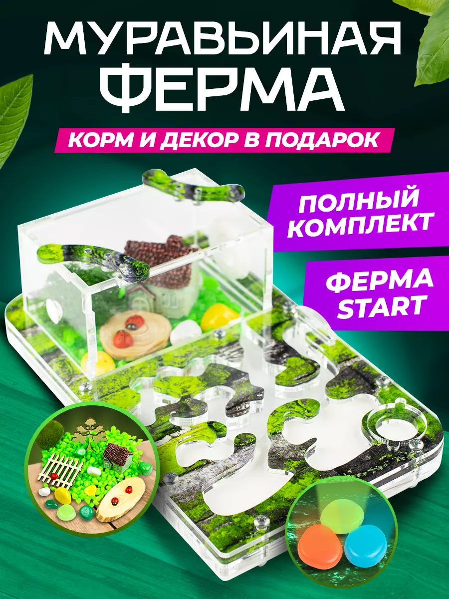 Муравьиная ферма с муравьями, формикарий