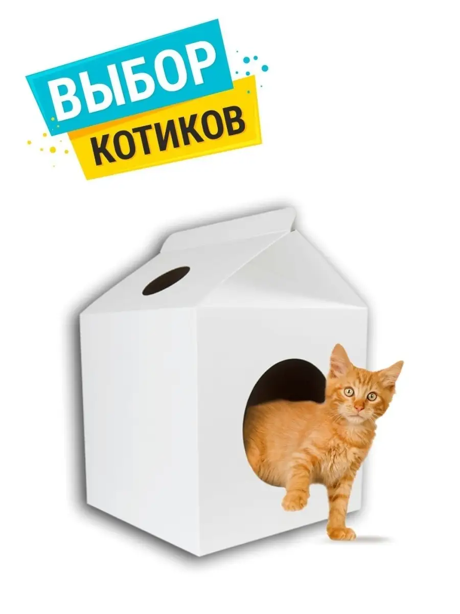 Домик для кошки из картона, кошачий картонный дом для кота Craft Box купить  по цене 0 сум в интернет-магазине Wildberries в Узбекистане | 15663546