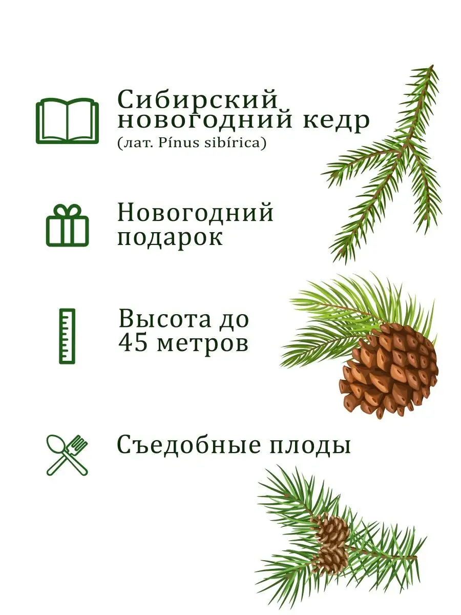 Набор для выращивания растений и цветов в горшке для дома Вырасти, Дерево!  купить по цене 0 р. в интернет-магазине Wildberries в Беларуси | 16717379