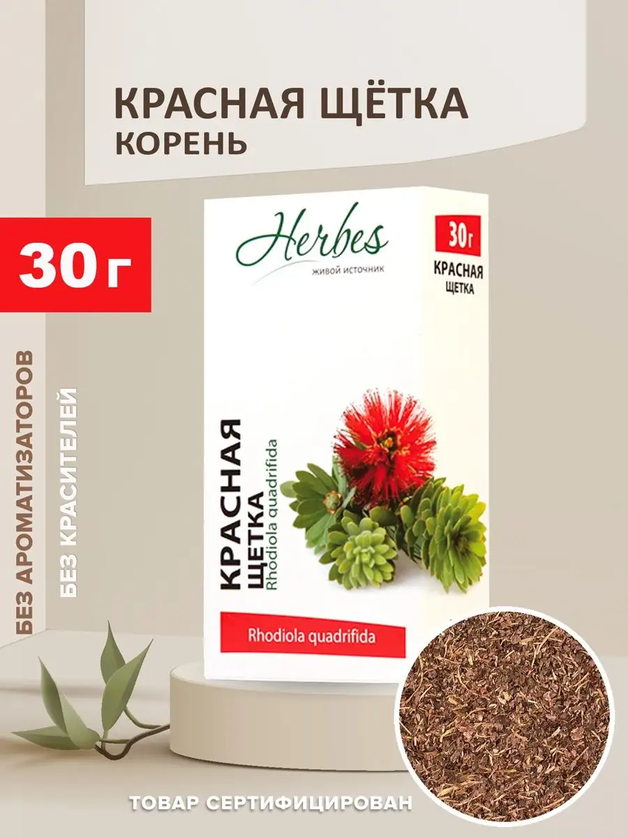 Красная щетка корень россыпь 30г Herbes купить по цене 0 ₽ в  интернет-магазине Wildberries | 17190198