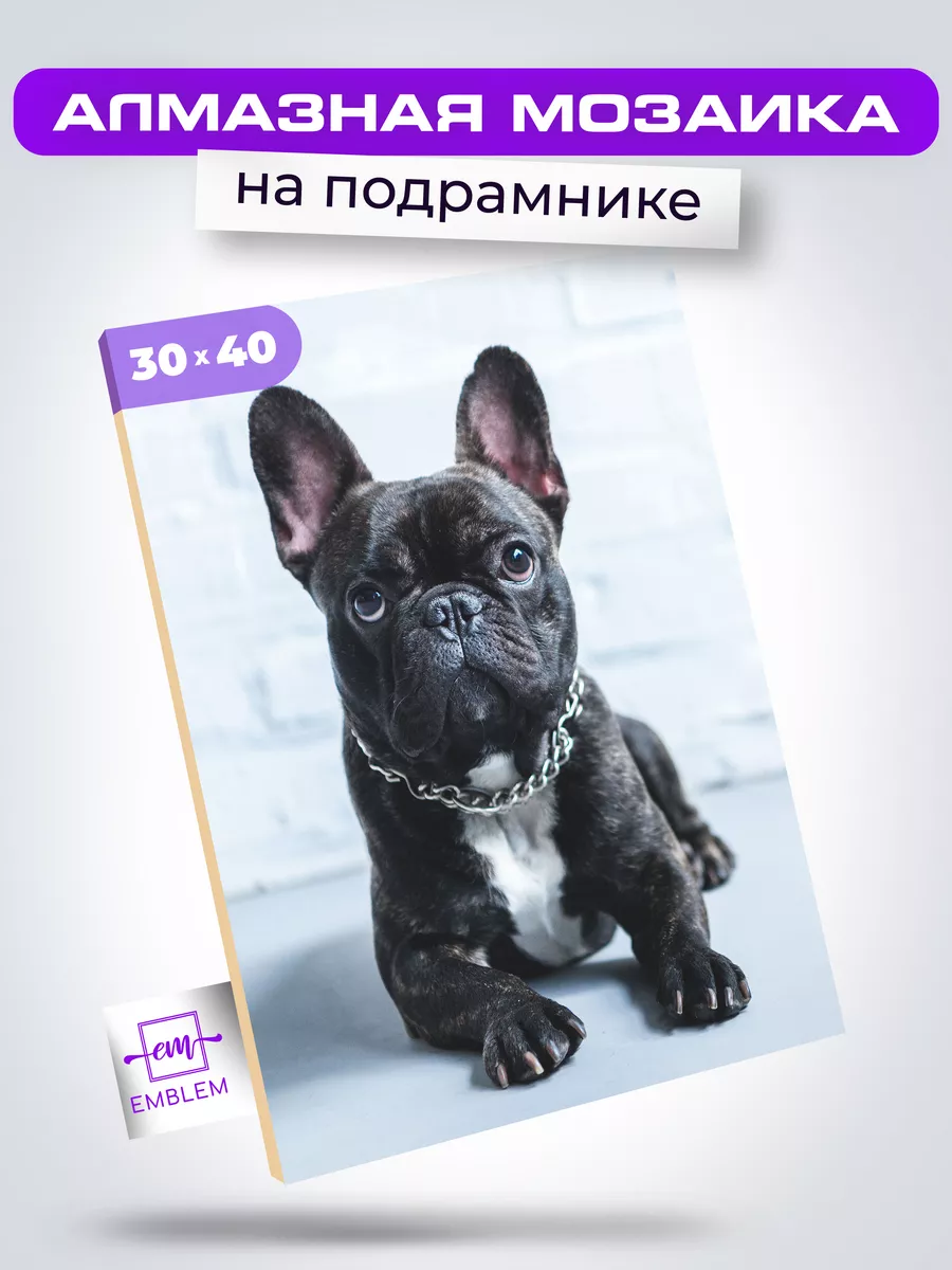 Алмазная мозаика 30х40 Французский бульдог Emblem. купить по цене 840 ₽ в  интернет-магазине Wildberries | 17766839