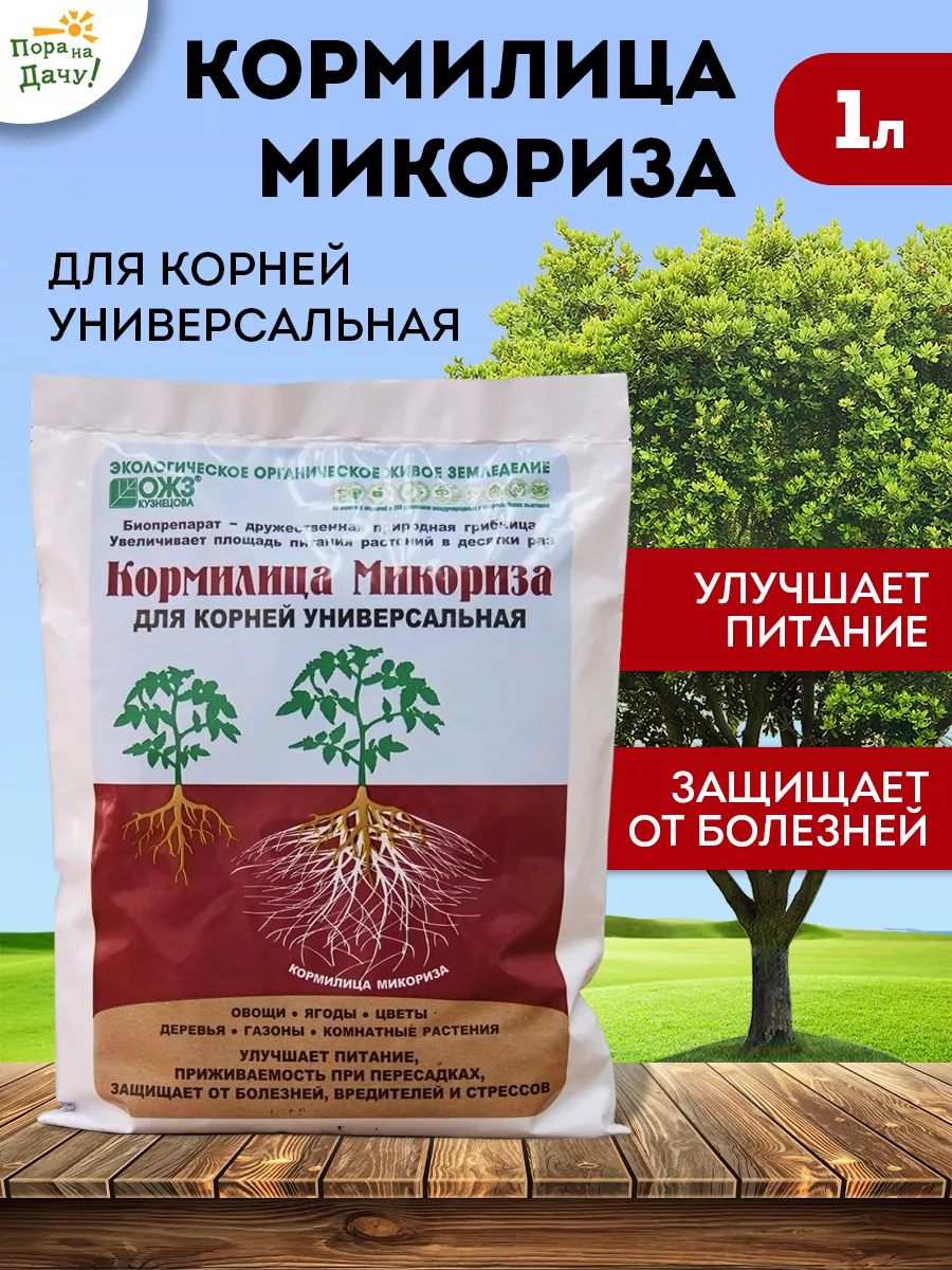 Микориза применение для рассады. Удобрение микориза кормилица 1 л. Микориза БАШИНКОМ. Кормилица микориза 1л.