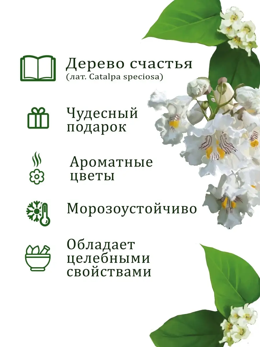 Набор для выращивания растений и цветов в горшке для дома Вырасти, Дерево!  купить по цене 14,35 р. в интернет-магазине Wildberries в Беларуси |  18600302