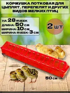 Кормушка для перепелов Бриг