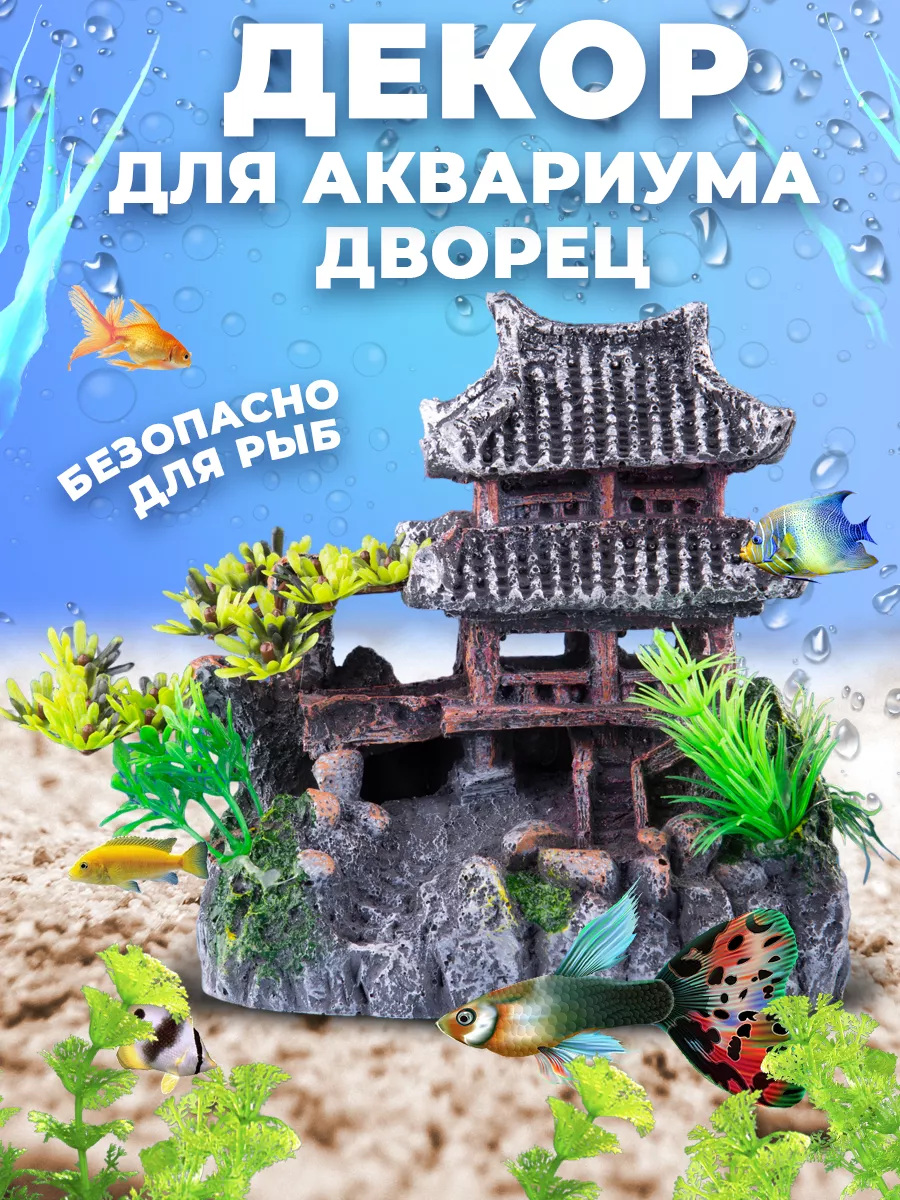 интернет-магазин аквариумов и оборудования