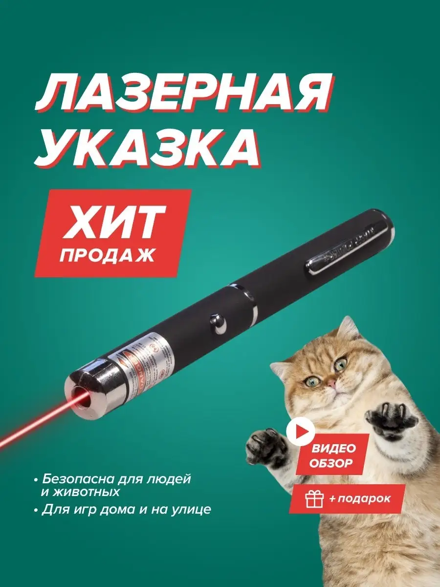 Прохвостик Лазерная указка для игры с животными (котами и собаками)