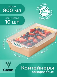 Одноразовые коробки для трайфлов, контейнеры для еды 800 мл Cactus* 19075641 купить за 944 ₽ в интернет-магазине Wildberries