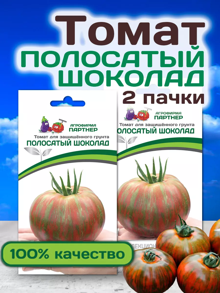 Помидоры полосатый шоколад отзывы фото. Томат полосатый шоколад партнер. Томат полосатый шоколад партнер описание. Томат братик-полосатик. Полосатый помидор машина.