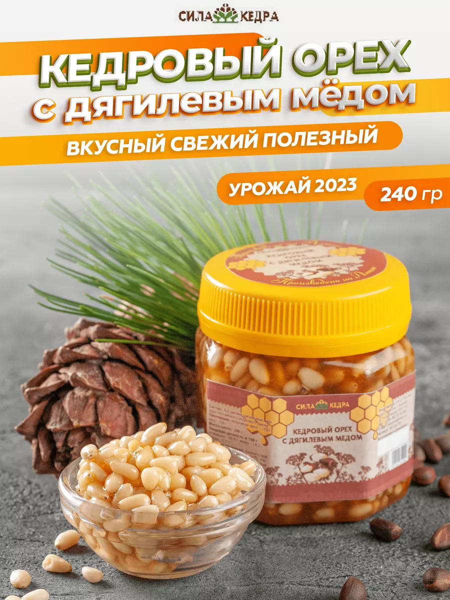 Натуральный мед дягилевый с кедровыми орехами сладости 240 г Сила кедра  купить по цене 0 р. в интернет-магазине Wildberries в Беларуси | 19174308