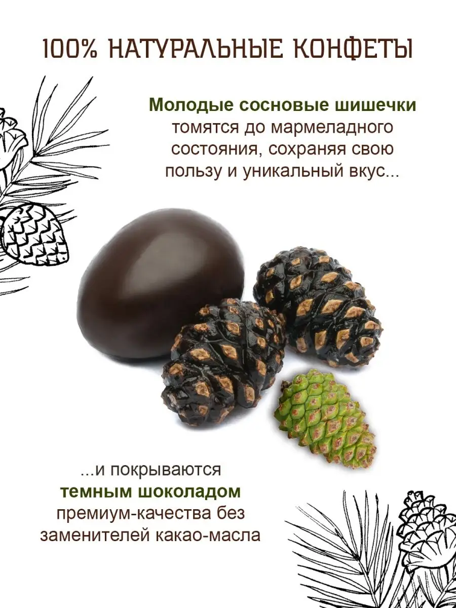 Сосновые шишки в шоколаде темном 100г Территория Тайги купить по цене 442 ₽  в интернет-магазине Wildberries | 19868561