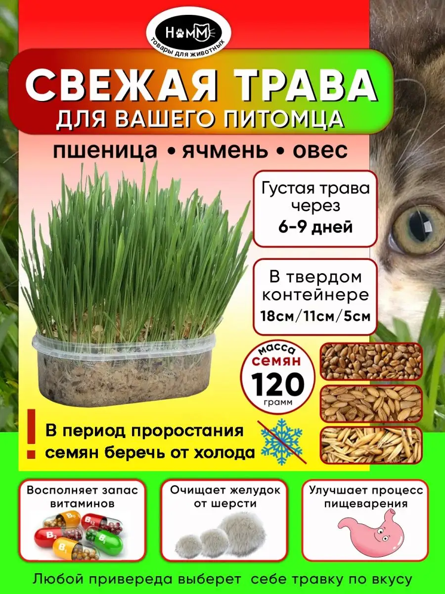 TiTBiT трава для кошек (овес для проращивания)