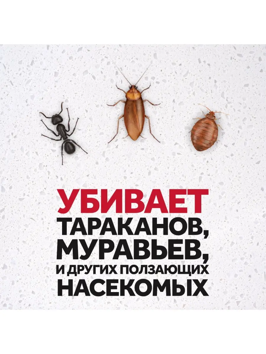 Рейд Аэрозоль от тараканов и муравьев, 300мл RAID купить по цене 0 сум в  интернет-магазине Wildberries в Узбекистане | 22270774