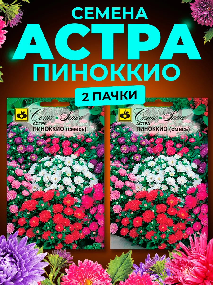 Семена Цветов Астра Пиноккио Семко купить по цене 311 ₽ в интернет-магазине  Wildberries | 23782650