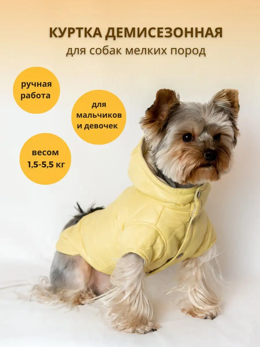 Йорк одежда для собаки