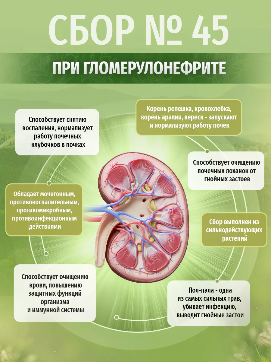 Травяной сбор № 45 При гломерулонефрите Травы Кавказа купить по цене 40,90  р. в интернет-магазине Wildberries в Беларуси | 26330778