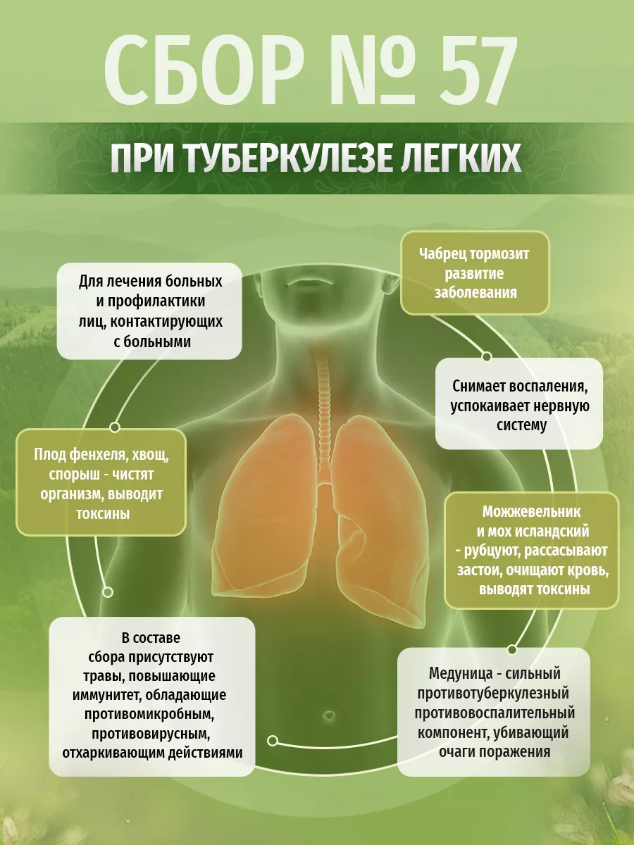 Травяной сбор № 57 При туберкулезе легких Травы Кавказа купить по цене 176  200 сум в интернет-магазине Wildberries в Узбекистане | 26373224