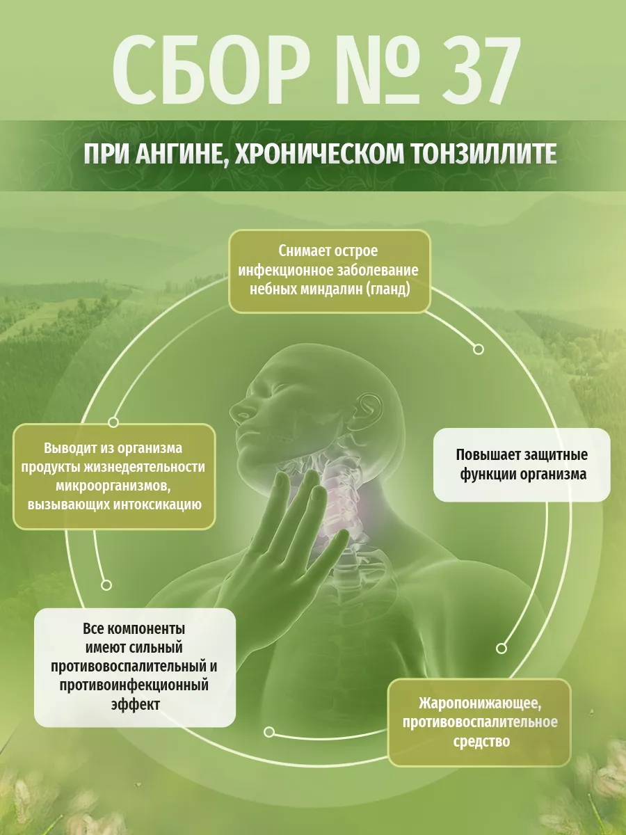 Травяной сбор №37 При ангине, фарингите, инфекциях 200г Травы Кавказа  купить по цене 0 сум в интернет-магазине Wildberries в Узбекистане |  26373227