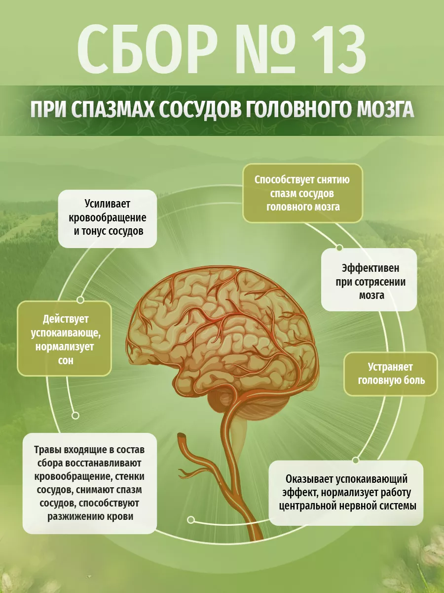 Травяной сбор № 13, Чай при спазмах сосудов головного мозга Травы Кавказа  купить по цене 0 р. в интернет-магазине Wildberries в Беларуси | 26485195