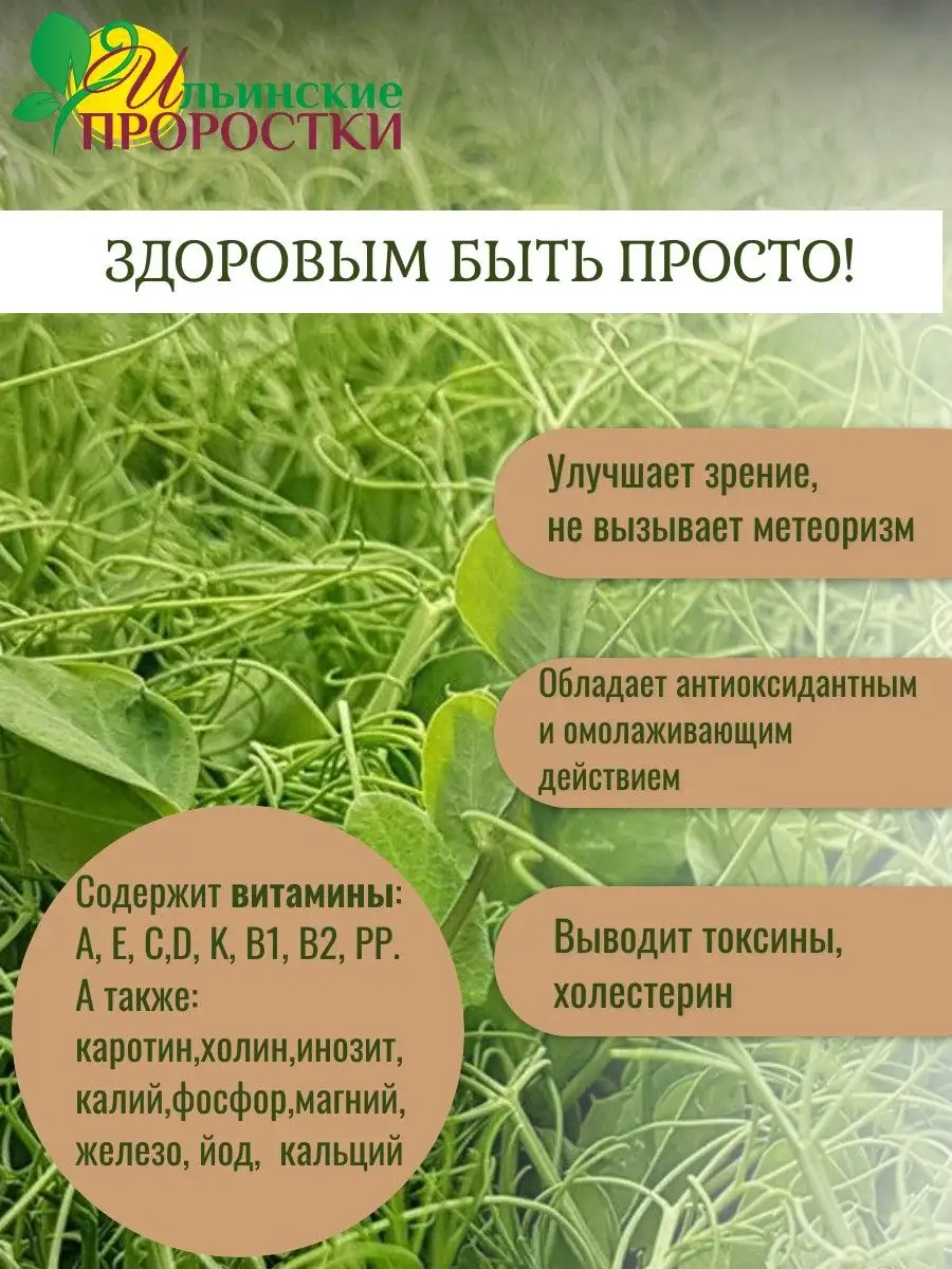 Семена микрозелень горох для проращивания Ильинские проростки купить по  цене 0 сум в интернет-магазине Wildberries в Узбекистане | 26775348