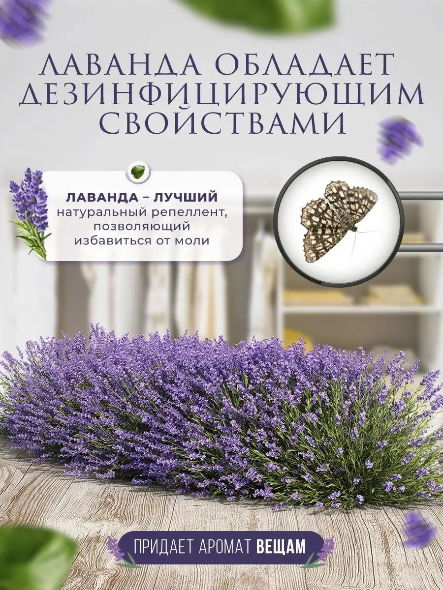 Саше ароматическое с лавандой набор Aroma salt купить по цене 266 ₽ в  интернет-магазине Wildberries | 27879094